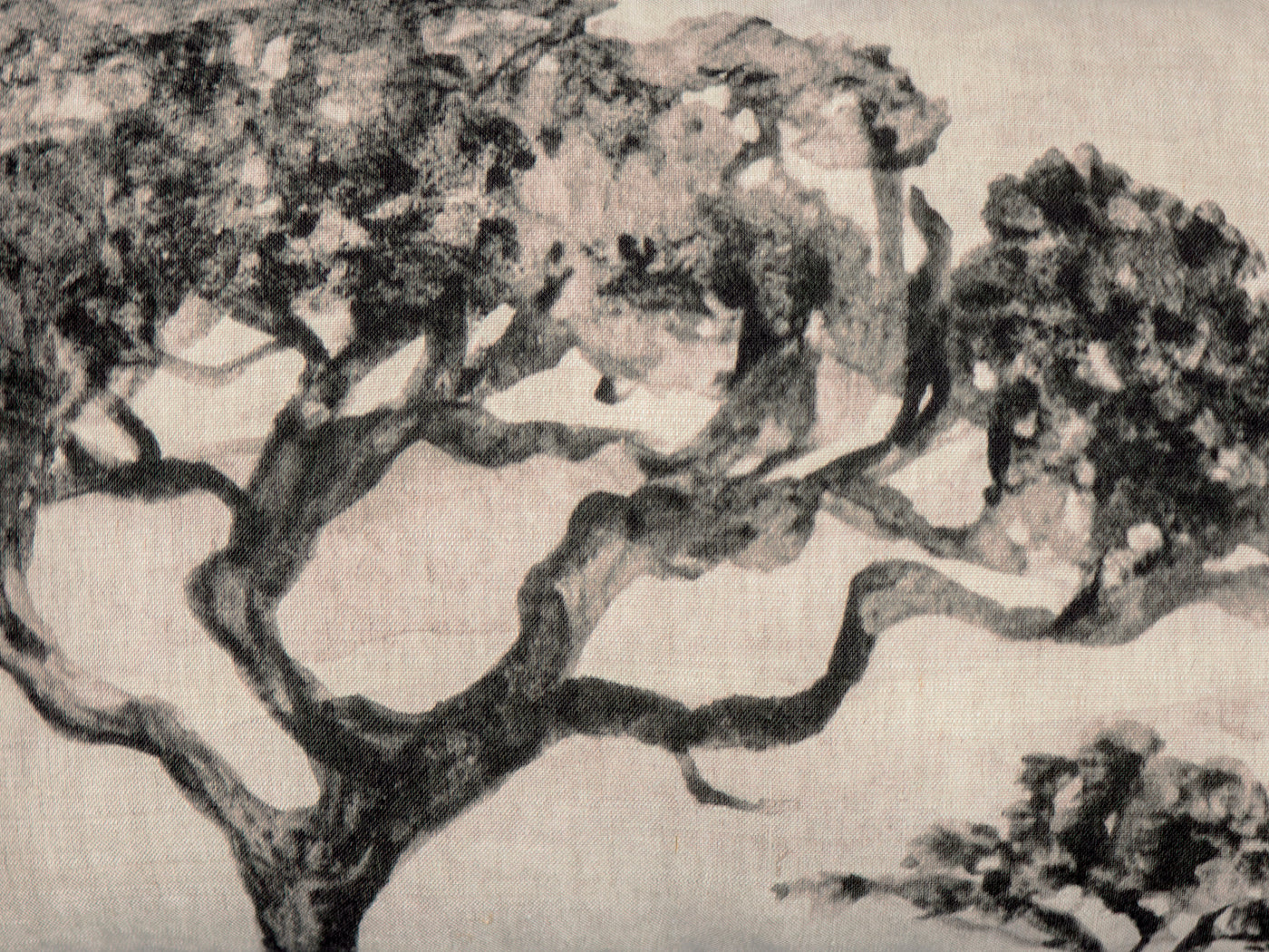 Arbres light – 40x60 cm